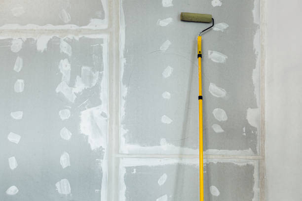 Professional Dry wall and painting in Sunnyside, GA